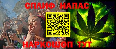 крисы Брянск