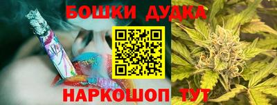крисы Брянск