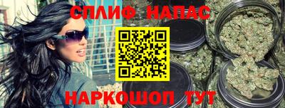 крисы Брянск