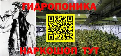 крисы Брянск