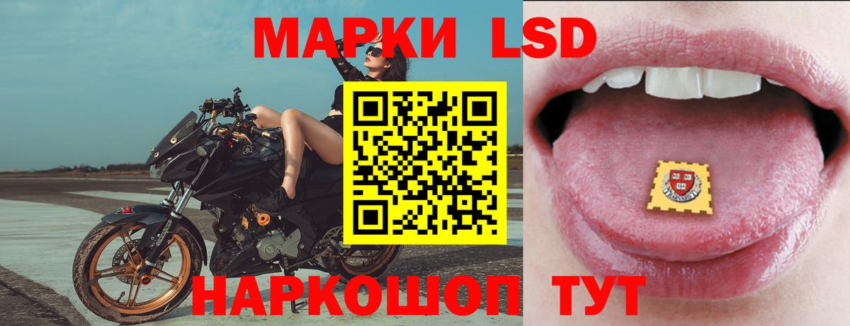 LSD-25 экстази ecstasy  ЛСД экстази ecstasy  Вход с VPN  Бердск 