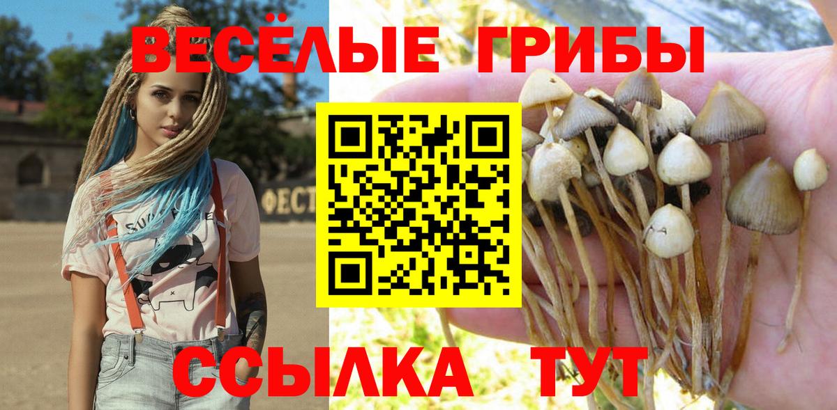 Псилоцибиновые грибы мухоморы Бердск