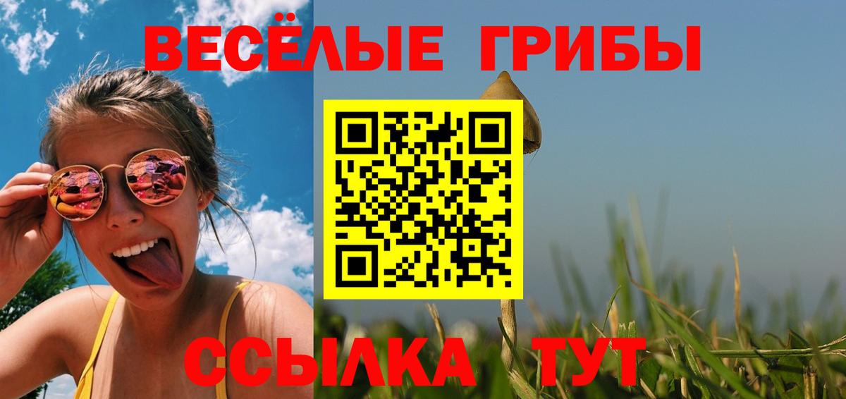 Псилоцибиновые грибы прущие грибы  Галлюциногенные грибы мухоморы  Вход с VPN  Бердск 
